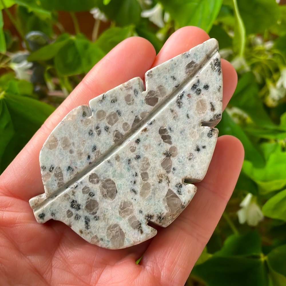 🥝Kiwi Jasper Crystal Leaf Carving🥝 hand carved